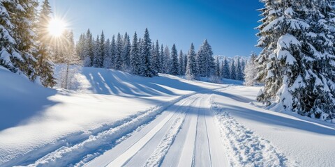 Obraz premium A stunning winter landscape with snow-covered trees and a tranquil pathway.