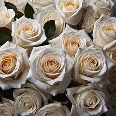 Dark white fresh roses flowers delicate background. Celebrating of spring and summer. Floral business template. Empty space for text.	Festive natural background. 