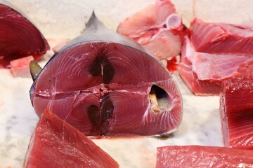 Fresh Italian whole tuna in Catania
