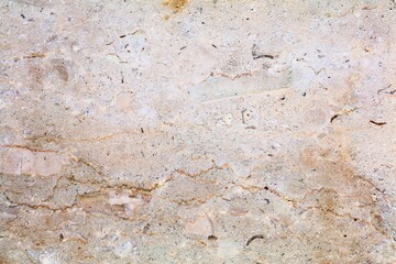 Honed fossil marble slab background