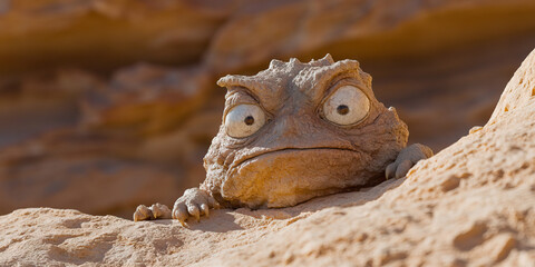 Sculpted Creature on Rock Formation