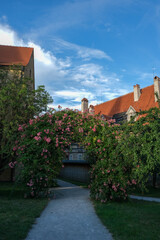 Garden Arch with Blooming Flowers and Red Roofs