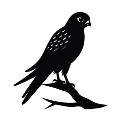 bird on a branch vector illustration