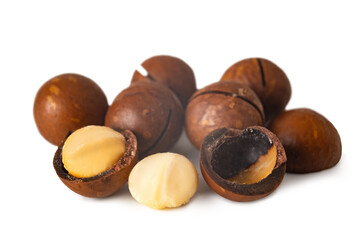 Macadamia nuts display showcasing their hard shells and creamy interior in a bright setting