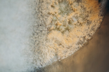 Macro photo of mold. Mold on soup close up. light abstraction