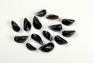 fresh mussel isolated on white background. Fresh mussels in a plastic box