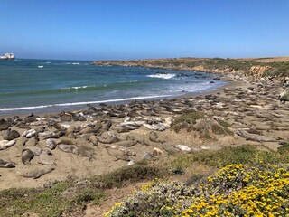 beach and sea