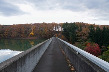 笹流れダムの紅葉