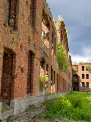 Naklejka premium Abandoned brick structure overtaken by nature's embrace in a forgotten landscape