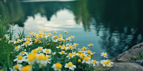 Flowers by Water