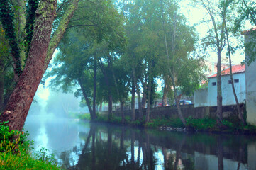 g&oacute;is/portugal