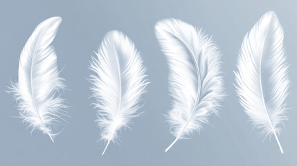 Obraz premium White fluffy feather with shadow vector realistic set isolated on transparent background. Feathers from wings of birds or angel, symbol of softness and purity, design element