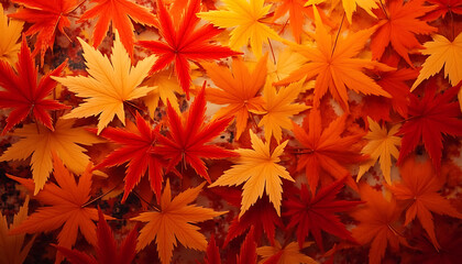Vibrant red and orange autumn leaves arranged artistically on a warm background