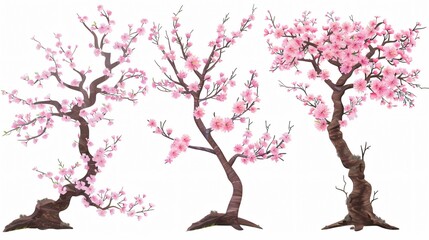 Realistic Sakura Tree Blossom Cherry in Spring Garden