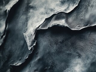 Close up black and white photography