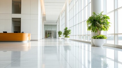 Obraz premium Modern Office Interior with Bright Windows and Indoor Plants