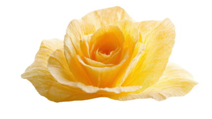 Blooming yellow paper rose on transparent background