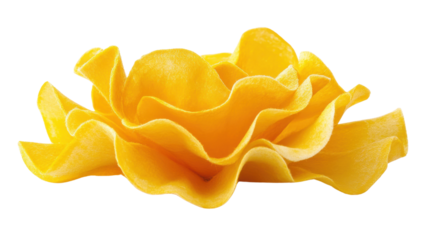 Potato chips forming a flower with transparent background