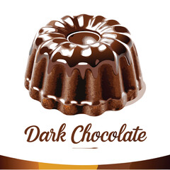 cake with chocolate vector