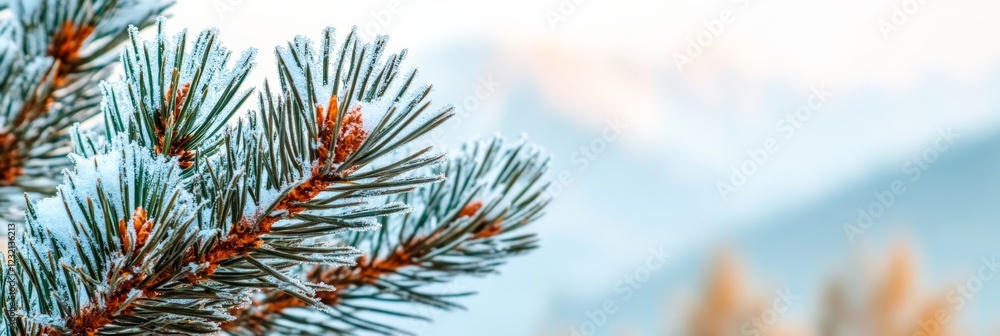 Aufkleber Close up of pine branches covered with snow and ice crystals, creating a magical winter wonderland scene with a soft focused background of snowy mountains