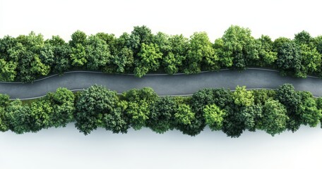 Aerial view of a winding road through a lush green forest.