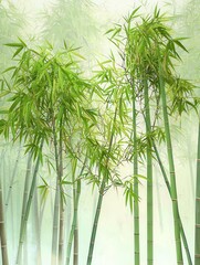 Fototapeta premium Lush bamboo forest with vibrant green stalks in soft sunlight.