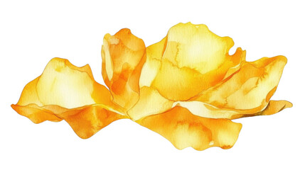 Naklejka premium Watercolor yellow rose blooming with transparent background
