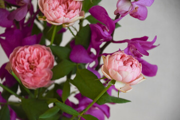 アランダとばら