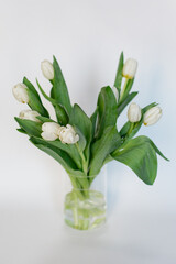 A bouquet of white tulips in a vase on a light background. A gift for a woman