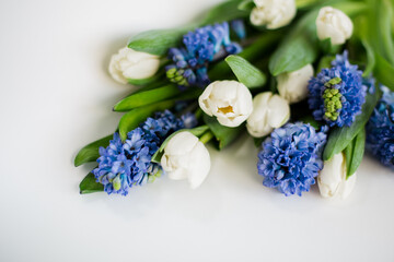 White tulips and blue hyacinths on a white background. A bouquet of spring flowers. Romantic floral background. Flat lay, top view.