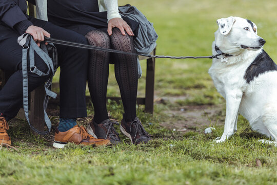 Beautiful couple holding hands and their dog on a lead during a walk on a beautiful english scenery