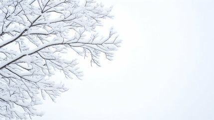Snowy tree branches against a bright winter sky, perfect for winter holiday cards or seasonal backgrounds