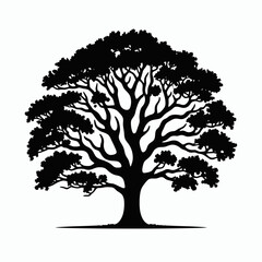 Fototapeta premium Oak Tree silhouette in black on a white background