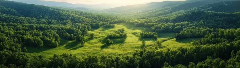 Obraz premium ** .Breathtaking Aerial View of Lush Green Forest and Rolling Hills Under a Clear Blue Sky at Sunrise..**