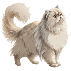 Persian cat with long silky fur and flat face, standing full body on a white background, refined and popular domestic pet breed
