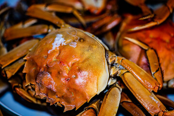 Chinese traditional cuisine, the Lunar New Year's Eve dinner, mainly consists of pork, fish and shrimp, crabs, and stir fried dishes. Top view close-up.
