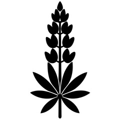 black and white flower