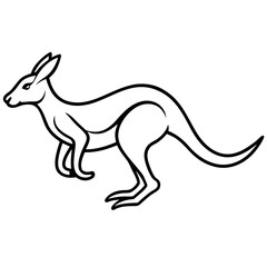 kangaroo illustration