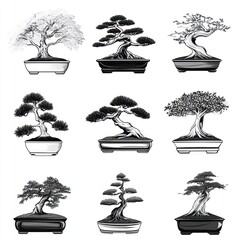 Nine Different Styles of Miniature Bonsai Trees