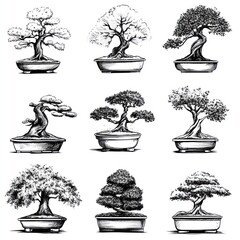 Nine Ink Drawings of Bonsai Trees in Pots