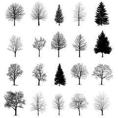Fototapeta premium Collection of Diverse Bare and Evergreen Tree Silhouettes