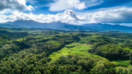 Obraz premium beautiful nature landscape in Kauai island Hawaii. View from helicopterplanetop. Forest. Mountains. Ocean. View . Drone