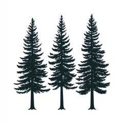 Obraz premium Three Tall Evergreen Trees Silhouette Illustration