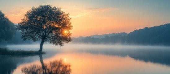 Obraz premium Serene Sunrise Over Misty Lake with Silhouetted Tree and Vibrant Sky Reflections in Calm Water