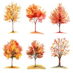Six Watercolor Paintings Of Autumn Trees
