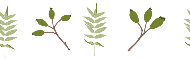  Green leaves set on a white background. Hand-drawn illustration. Perfect for spring and summer.