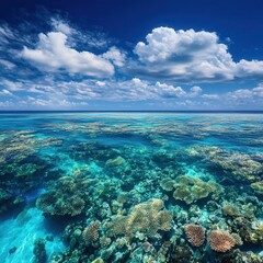 Fototapeta premium Beneath the surface of the Great Barrier Reef revealing vibrant coral gardens and playful schools of fish in stunning turquoise water. Generative AI