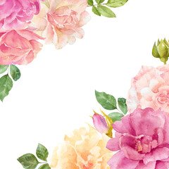 Watercolor multicolored roses with buds and leaves. Hand drawn floral card template for design