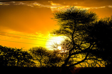 Naklejka premium sunset in the field