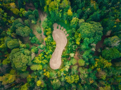 Aerial View of Forest Trees Surrounding Footprint-Shaped Clearing in Autumn Season - ecological footprint